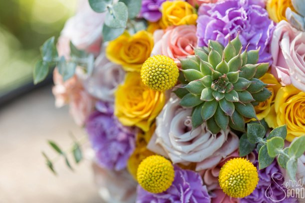 View More: http://sierraford.pass.us/marshall